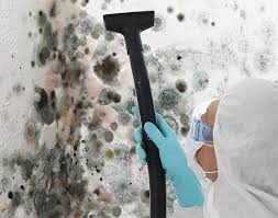 Best Commercial Mold Inspection  in Millcreek, UT